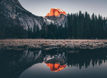 AL次局集锦：纳亚菲利团战游龙完美发挥，AL强势扳回一城